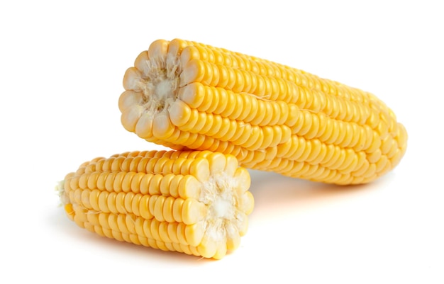 Corn isolated on white background.