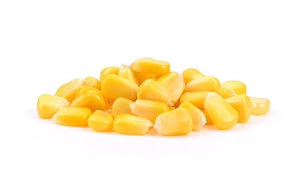 corn isolated on a white background