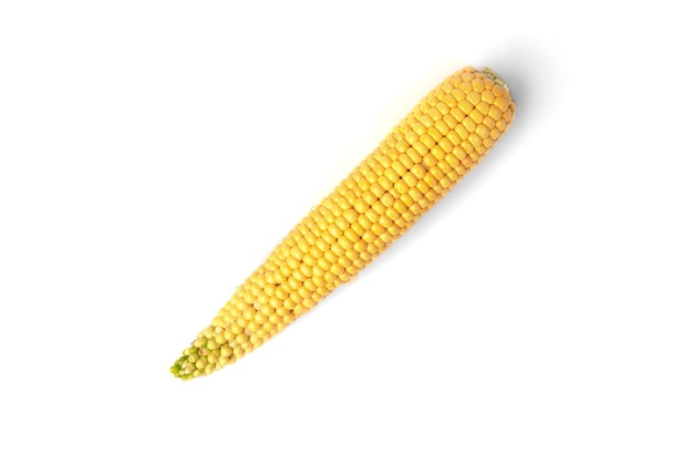 Corn isolated on white surface