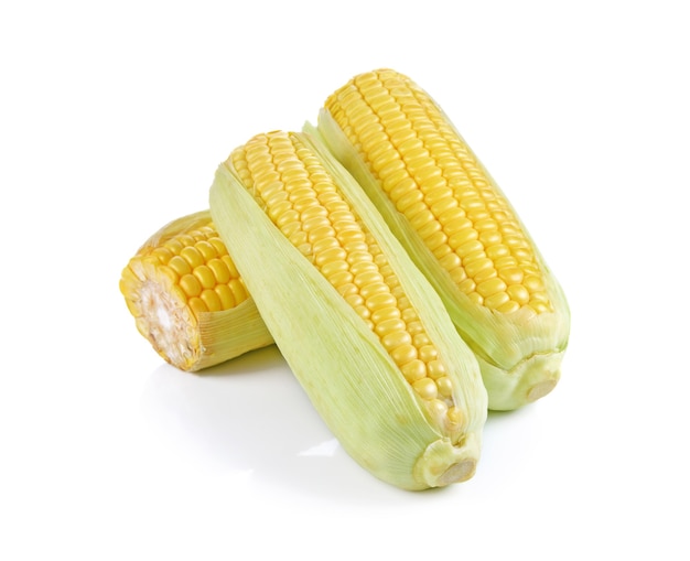 Corn isolated on white