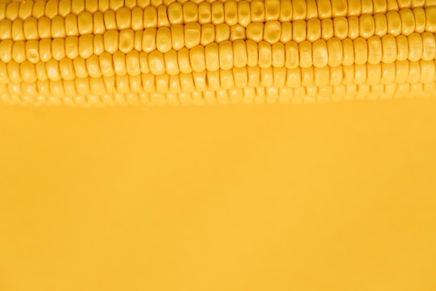 Corn isolated on yellow background