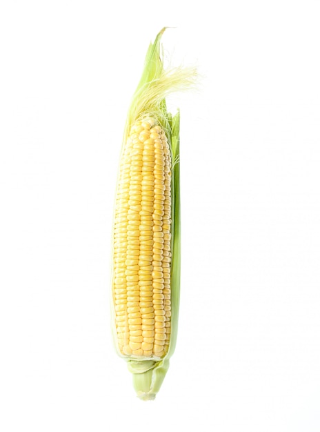 Corn isolated