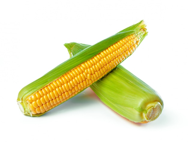 Corn isolated