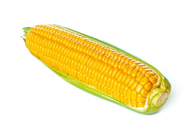 Corn isolated