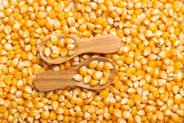 Corn kernels for popcorn in the wooden spoon