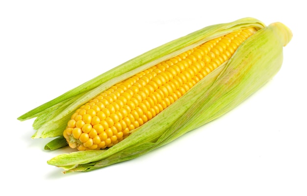 Corn in the leaves isolated on white background.