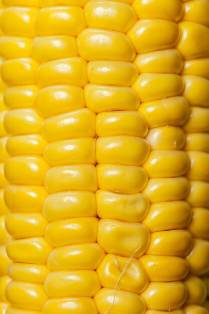 Corn pattern background