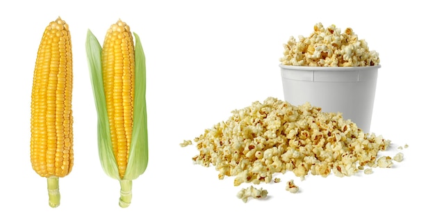 Corn and Popcorn in box on white background