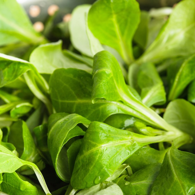 Insalata di mais da vicino in un colino di metallo