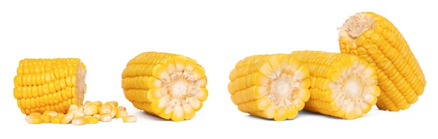 Corn set isolated on white background