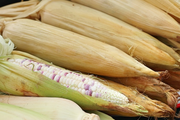 corn at street food