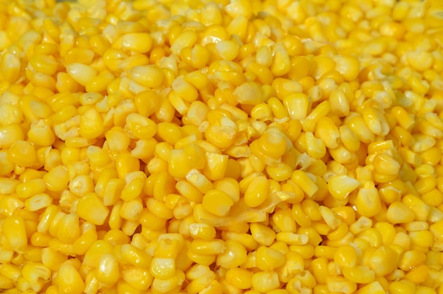 사진 옥수수 질감 씨앗 옥수수 노란색 배경-뜨거운 옥수수 냄비에 찐 달콤한 옥수수 슬라이스 요리