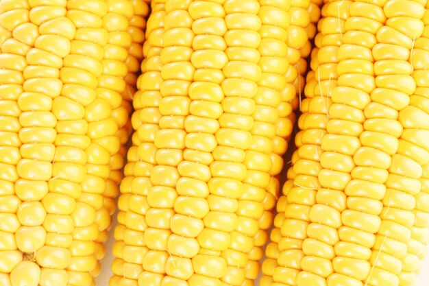 Corn vector naadloze realistische textuur