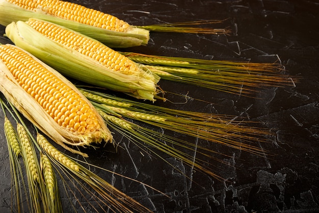 Corn and wheat spikes