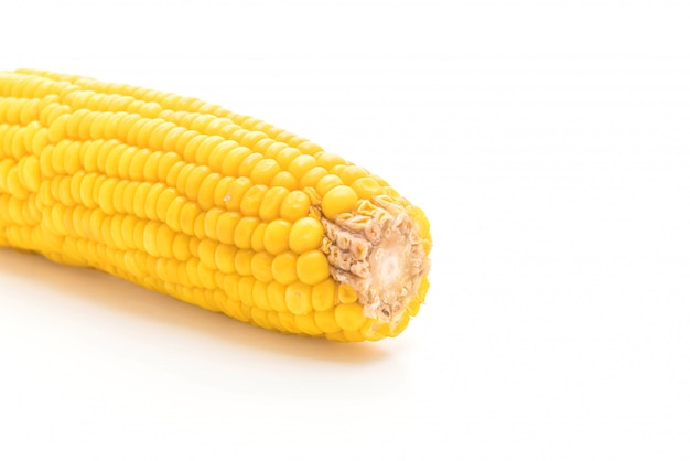 corn on white background