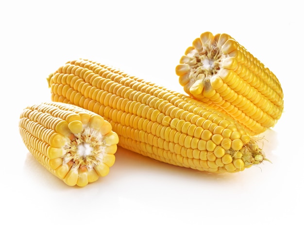 Corn on white background