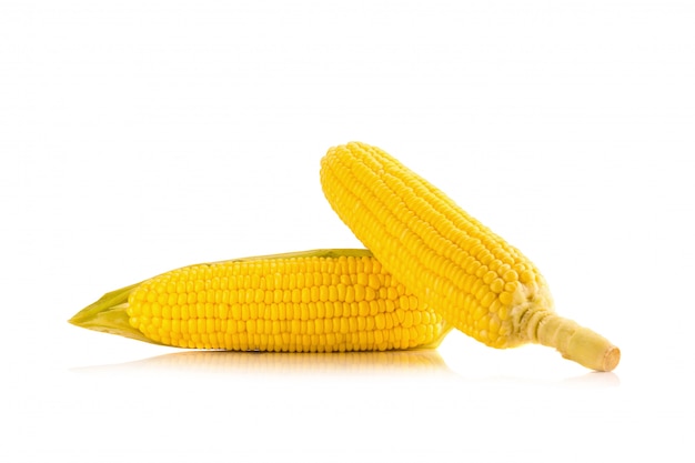 Corn on white background