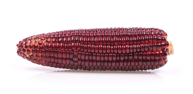 Corn on white space