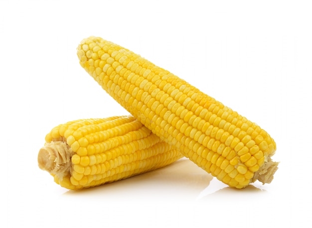 Corn on white space