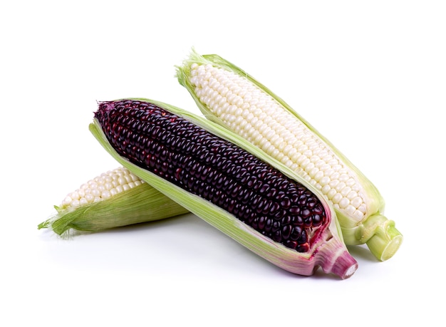 Corn on a white