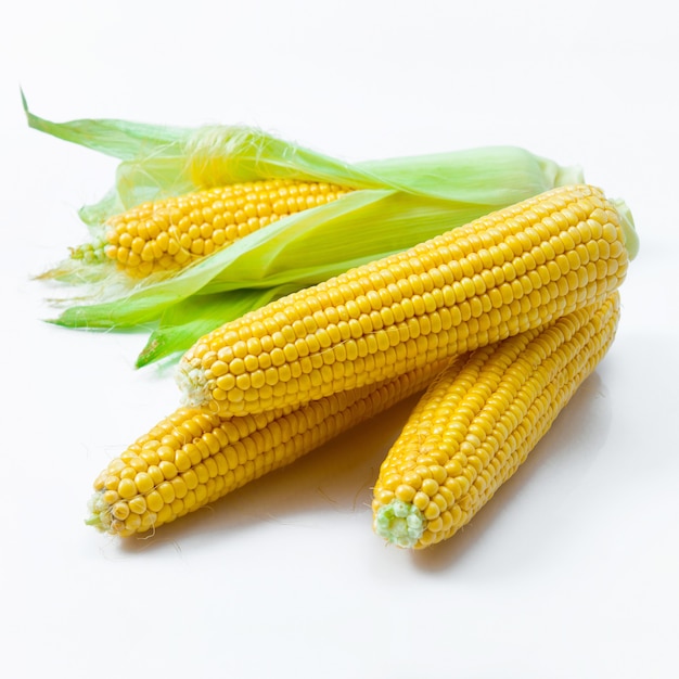 Corn with green leaves isolated on white