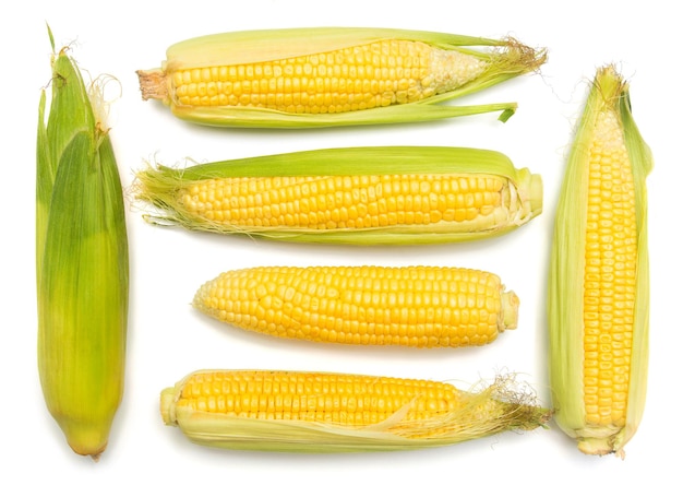 Кукуруза с кожей или без кожи, изолированные на белом фоне. Сбор кукурузы. Вид сверху, плоский