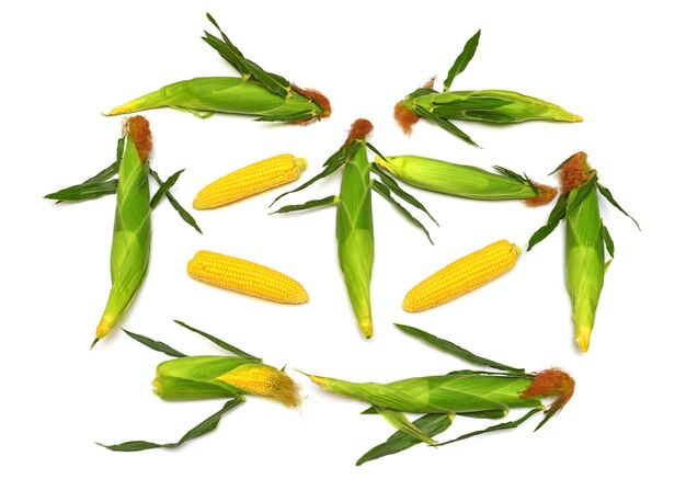 Кукуруза с кожей или без кожи, изолированные на белом фоне. Сбор кукурузы. Вид сверху, плоский