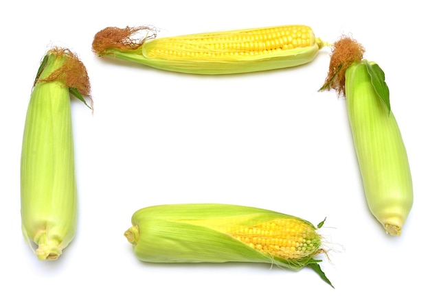 Corn with skin or without skin isolated on white background. A collection of corn. Top view, flat