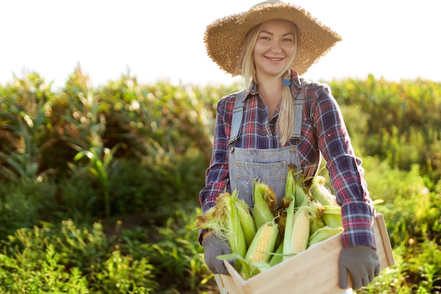 若いトウモロコシの農夫が微笑んでトウモロコシを収 ⁇ しています 畑の背景にある美しい女性がトウモロコシのコブを握っています 農業と園芸