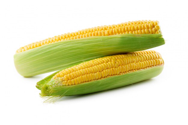 Corn