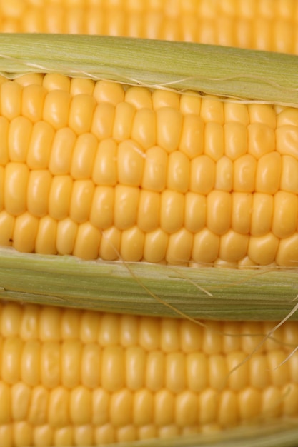 Photo corn