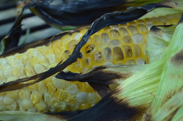 Photo corncob on barbecue