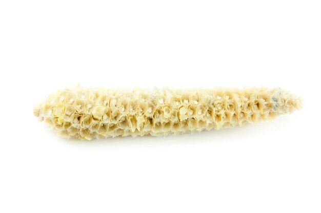 Corncob on white background