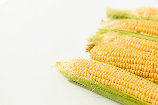 Corncobs or corn ears isolated on white background