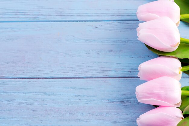 Corner border from close-up buds of fresh pink tulips flowers.