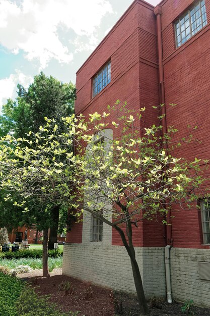 Angolo dell'edificio della george washington university di washington dc, usa. è un istituto di ricerca privato fondato il 9 febbraio 1821.