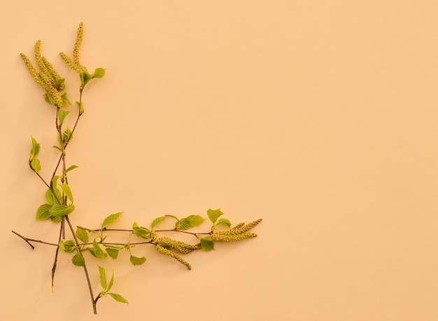 Corner made green spring leaves on beige pastel background