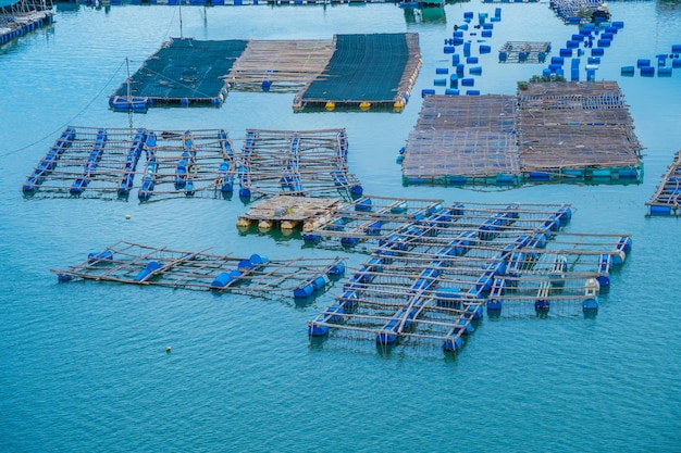 A corner of the oyster feeding farm float fishing village in Long Son commune Ba Ria Vung Tau city