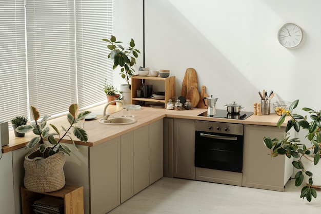 Corner of spacious kitchen with two counters with sink electric stove