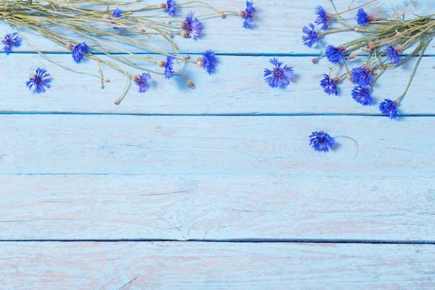 Cornflowers over blue wooden background