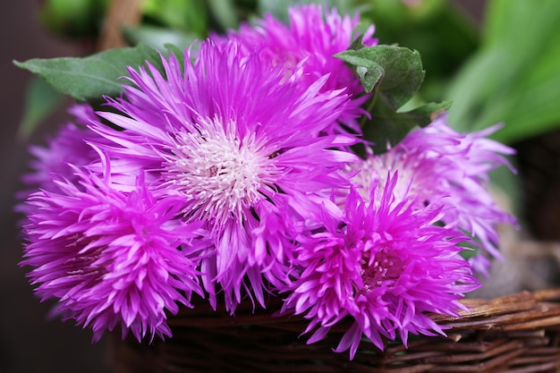 Cornflowers in wicker basket on wooden background