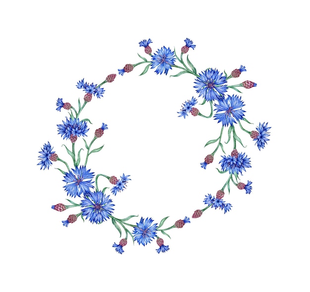 Photo cornflowers wreath of bouquets watercolor illustration botanical composition element isolated from background suitable for cosmetics aromatherapy medicine treatment care design