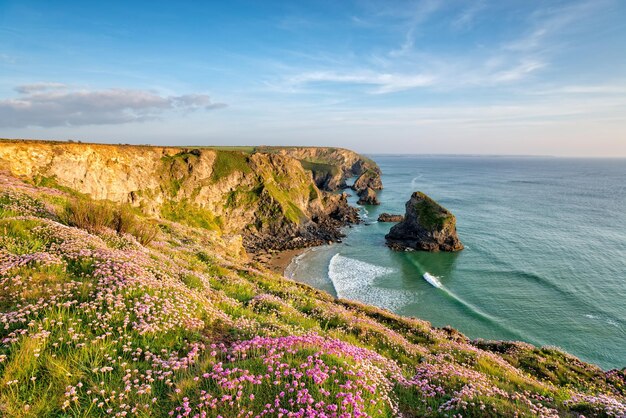 Cornish cliffs in summer