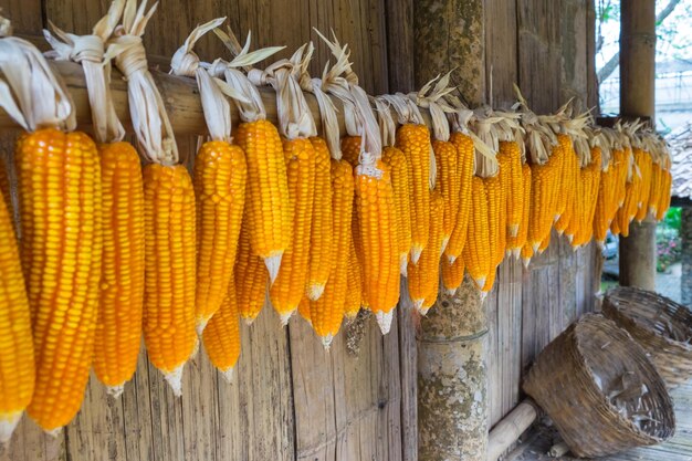 Photo corns hanging by wooden wall