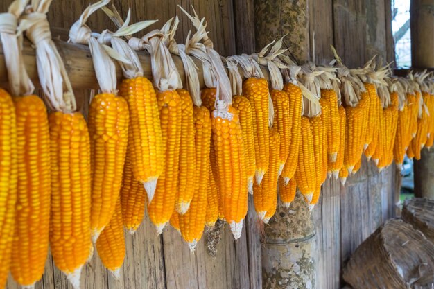 Photo corns hanging by wooden wall