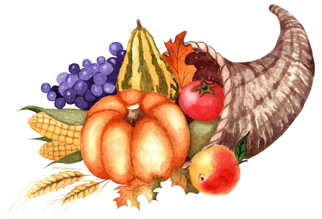 cornucopia basket with fruits and vegetables harvest festival thanksgiving pumpkin grapes corn