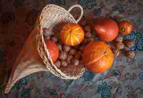 Photo cornucopia made by hand with reed marrow and used as a basket for orchard and forest fruits.