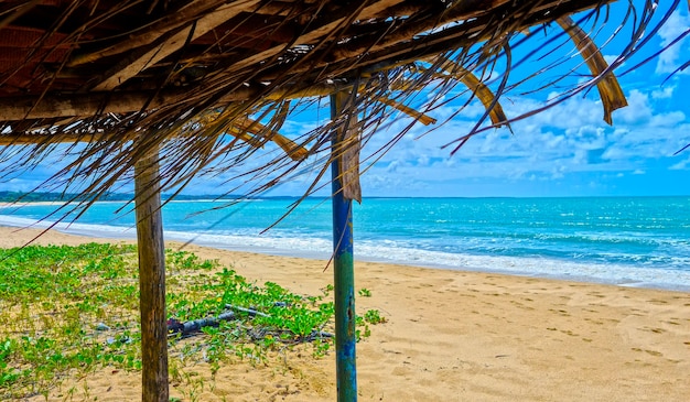 Spiaggia coroa vermelha a porto seguro, bahia - turismo e destinazioni nel nordest del brasile - attrazione turistica, guida di viaggio per il brasile