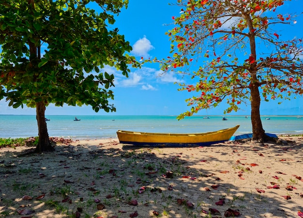 Coroa vermelha strand in porto seguro, bahia - toerisme en bestemmingen in noordoost-brazilië - toeristische attractie, reisgids voor brazilië