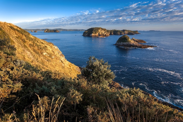 Coromandel Coastline